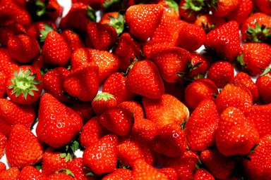 本当の完熟いちごをお届け 2