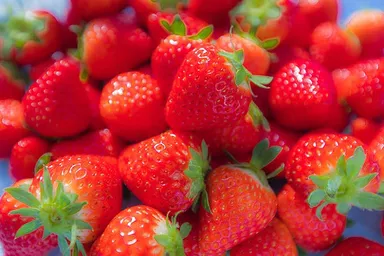 本当の完熟いちごをお届け 4