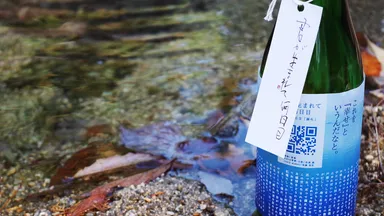 商品／イメージ