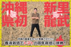 新里龍武のロゴ