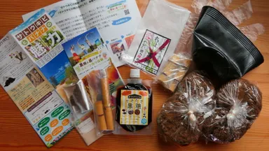 サトウキビ体験キット1式