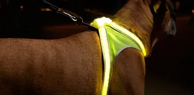 小型犬から大型犬まですべてのサイズに対応した犬用ハーネスLED「ライトハウンド」