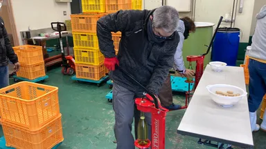 ワイナリー内作業風景(1)