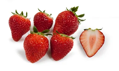 19FAG-2(当社オリジナル)