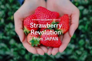 キャッチフレーズ