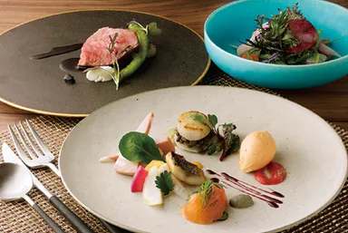 エロンソンドレ