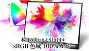 sRGBの色域を100％カバー