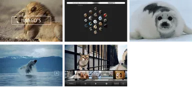 スクリーンショット(iPhone版)