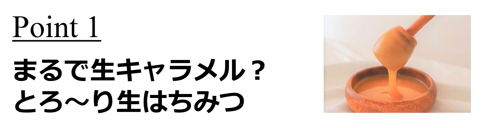 北欧リトアニア産リンデン(菩提樹)高級「生」はちみつのファミリー