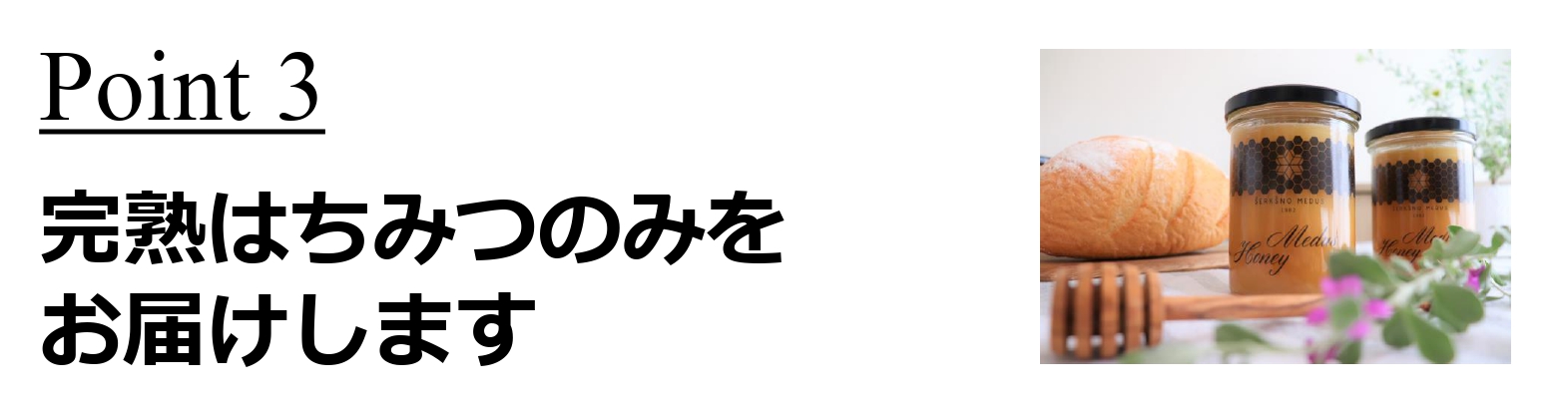 北欧リトアニア産リンデン(菩提樹)高級「生」はちみつのファミリー