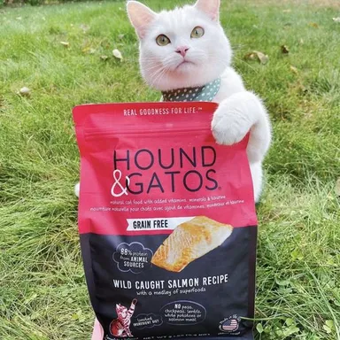 ハウンド＆ガトス1