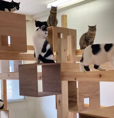 ティアハイム小学校教室内1