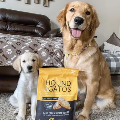 ハウンド＆ガトス2