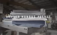 ANOTHER NUNOUS PROJECT
