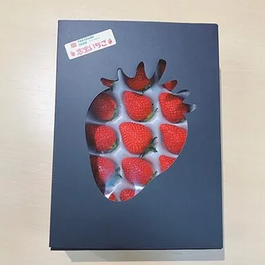 志宝いちご