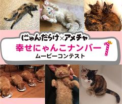 img_244100_3.jpg