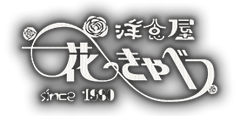 洋食屋 花きゃべつ