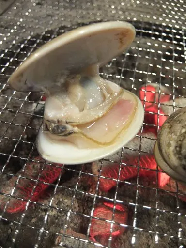 囲炉裏の遠赤外線効果