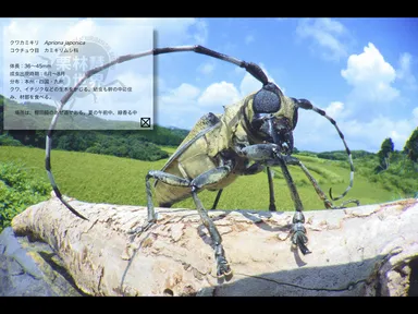 写真集サンプル画面