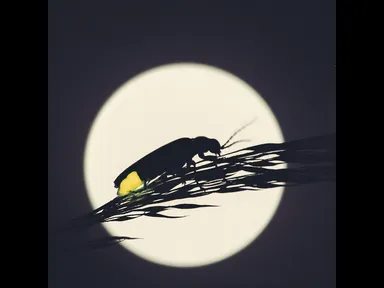 写真集サンプル画面