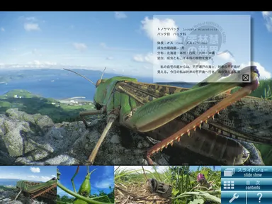 写真集サンプル画面