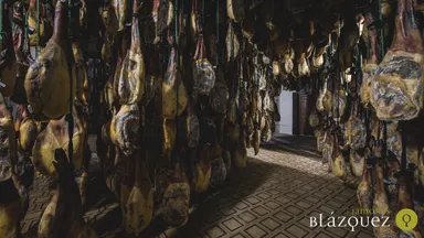 「ブラスケス社」から直接仕入れたベジョータ