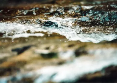 中国山地の原生林からのミネラル豊富な湧水