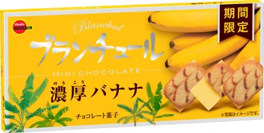 ブランチュールミニチョコレート濃厚バナナ_斜