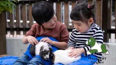 動物とのふれあい体験をプレゼント！