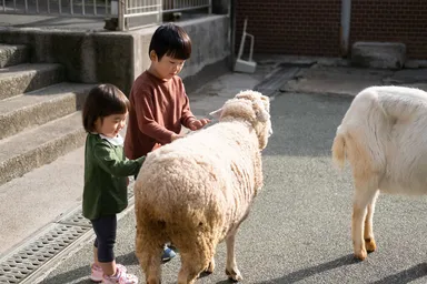 ヤギや羊などの動物も