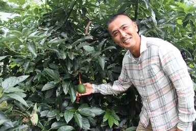 アボカド生産者　濵田氏