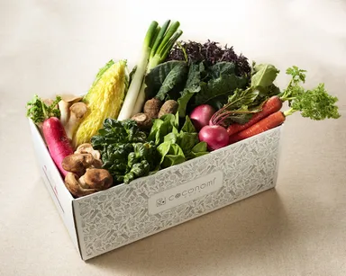 ココノミ　イメージ