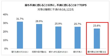 最も不満に感じること以外に、不満に感じることは？TOP5