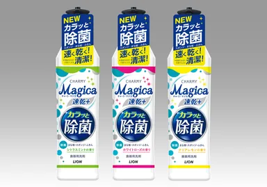 Magica 速乾＋ カラッと除菌ボトルL判グレー