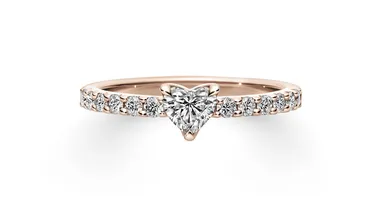 ステラ（HS）_PG