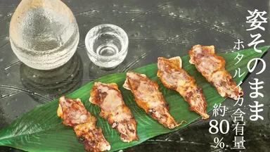 プロジェクトTOP画像