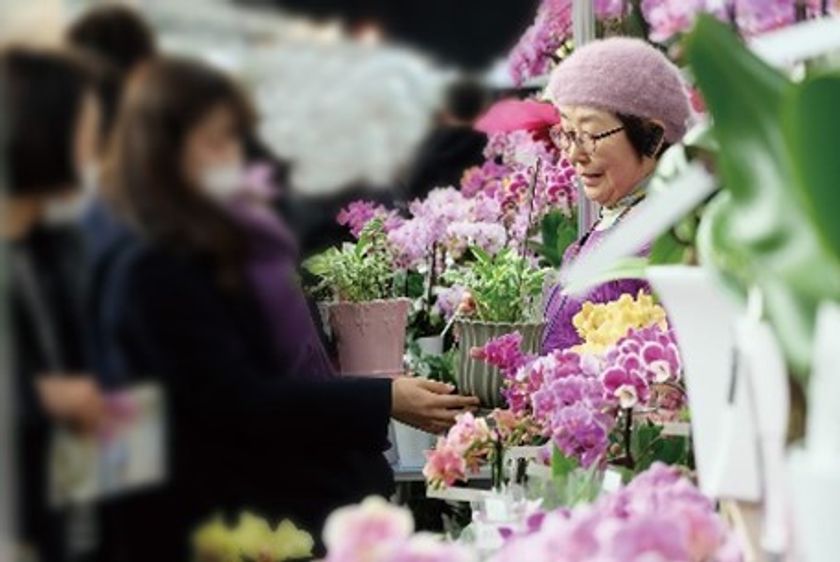 国際的な蘭の祭典「世界らん展2021-花と緑の祭典-」開催 | 世界らん展