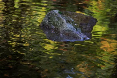 フォトグラファーと巡る冬の赤目渓谷ネイチャーフォト