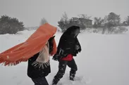 雪国地吹雪体験ツアー
