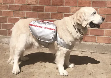 避難ライフバッグL：15,000円