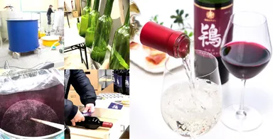 1本1本丁寧に手作りした飲みやすいワイン