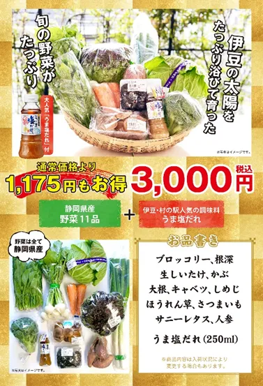 お家で野菜セット