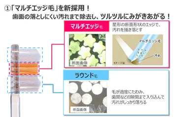 マルチエッジ毛