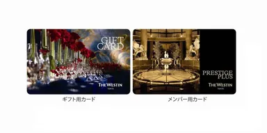 カードイメージ