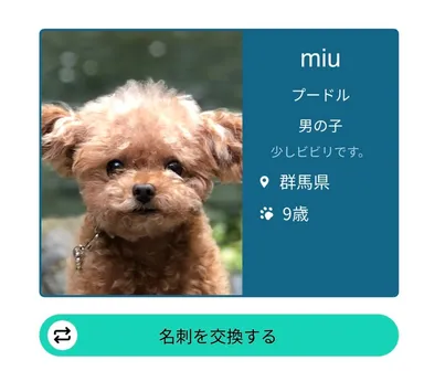 犬種や地域、年齢、性格で検索できる！