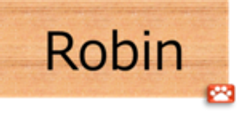 ロビン株式会社のロゴ