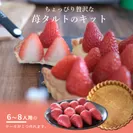 大粒いちごのタルト手作りキット(1)
