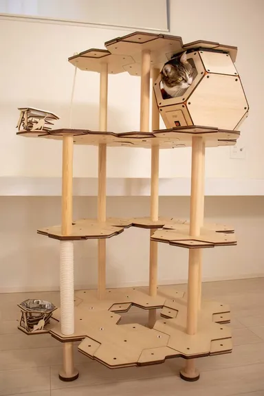 キャットタワーに登る動機付けに