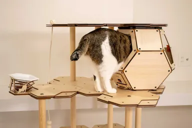 猫にとってほどよく狭い空間