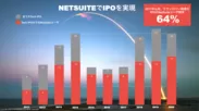 Oracle NetSuite IPO